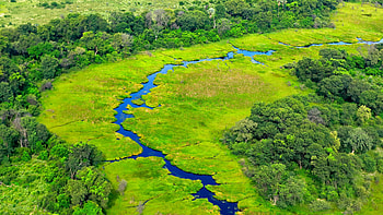 Botswana travels, Zauber Afrikas, Unforgettable experiences, Dream destination HD wallpaper