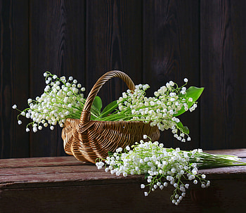 Lily of the valley, Flowers, Floral, White, Basket HD wallpaper