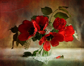 still life, bouquet, gentle, graphy, lace, nice, poppies, poppy, flower, , elegantly, vase, beautiful, old, pretty, cool, flowers, lovely, harmony HD wallpaper