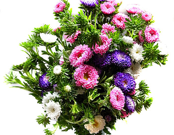 Flowers, Chrysanthemum, Bright, Multicolored, Motley, Bouquet, Colourful, Colorful HD wallpaper