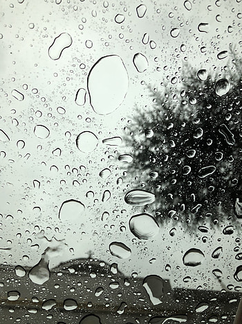 Drops, Transparent, Macro, Surface, Moisture, Glass HD phone wallpaper