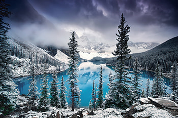 Mountains, lake, tree, forest, nature HD wallpaper