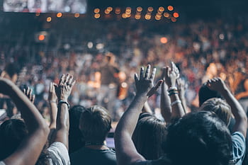 Energetic crowd at a live concert with hands raised and bright lights. HD wallpaper