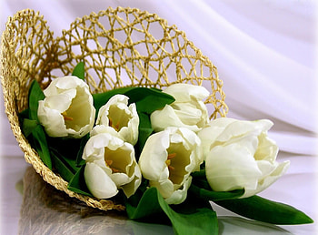 Flowers, Tulips, Bouquet, Bag, Weaving, Braiding, Kulek HD wallpaper