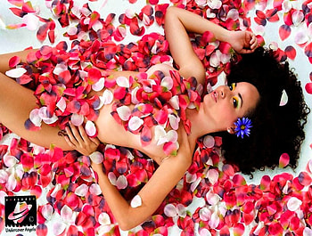 ROSES ARE HER BLANKET.., blanket, flower, red, woman, cover HD wallpaper
