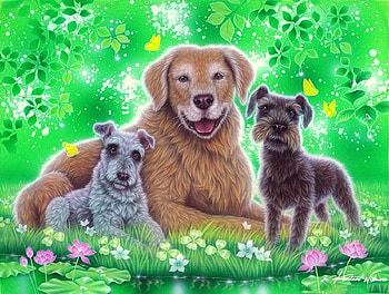 Sunlight in Spring, attractions in dreams, dogs, puppies, butterfly desings, paintings, spring, butterflies, love four seasons, animals, flowers, pond, lotus HD wallpaper