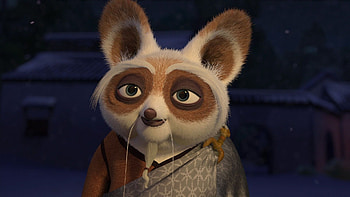 Master Shifu, Kung Fu Panda, Perfect balance, Harmony HD wallpaper