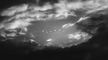 Birds In Peaceful Flight, birds, peace, monochrome, black-and-white, artist, artwork, digital-art HD wallpaper