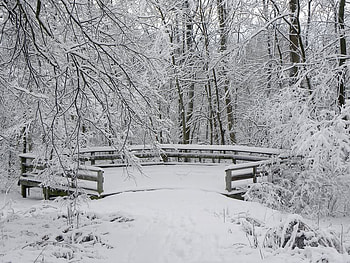 Nice Place to Rest, winter, trees, rest, snow HD wallpaper
