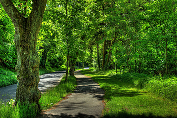 Nature, Trees, Summer, Park, r, Germany, Wetzlar HD wallpaper