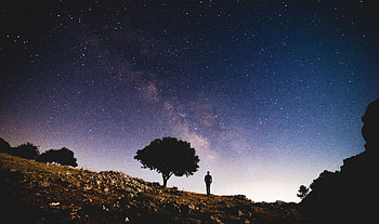 Nature, Night, Silhouette, Wood, Tree, Starry Sky HD wallpaper