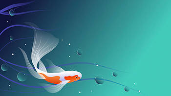 Fish minimal art, display, Artist's creation, Stylish backgrounds HD wallpaper