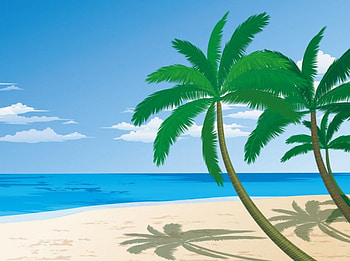 Coco Trees, palms, sea, shadow, sand, fantasy, clouds, beach HD wallpaper