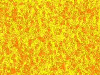 Abstract Summer, orange, abstract, art, yellow HD wallpaper