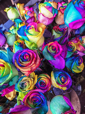 Flowers, Roses, Multicolored, Motley, Bouquet, Colourful, Colorful HD phone wallpaper