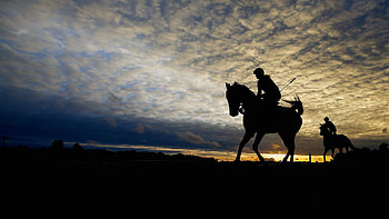Sports, Sky, Horses, Silhouette, 2015, Horse Racing, Belmont Stakes HD wallpaper