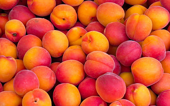 Peaches , Striking backgrounds, quality, Refreshing fruit HD wallpaper