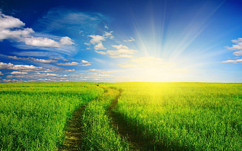 Sunlight, Grass and Sky HD wallpaper