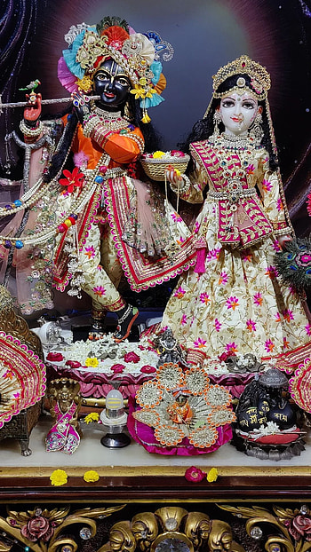 Hare krishna, magenta, art HD phone wallpaper