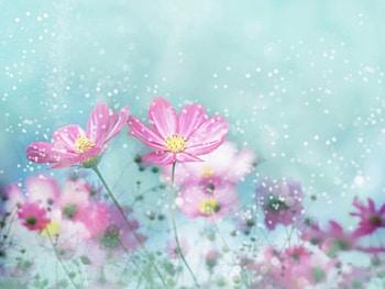 dreamy flower, pink, dreamy, art, flower HD wallpaper