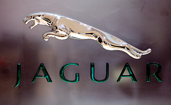 Jaguar Logo, Job cuts, Global news, Restructuring announcement HD wallpaper