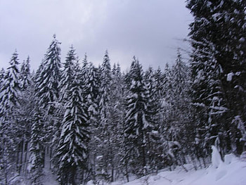 winter 2, winter HD wallpaper