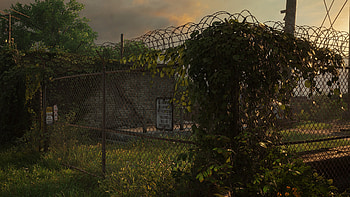 The Last of Us Part I, Nature HD wallpaper