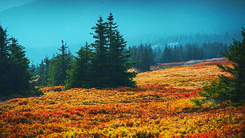 Autumn in Śnieżnika Mountain, Poland, sky, hills, fall, landscape, trees, colors HD wallpaper