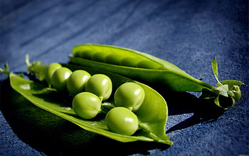 Food, Shadow, Peas, Pea, Pod HD wallpaper