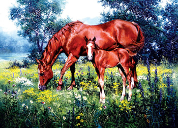 Proud Mom, horse, painting, meadow, foal, flowers HD wallpaper