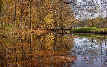 Amsterdamse Bos Park in Amsterdam, water, amsterdam, park, Amsterdamse Bos, reflection HD wallpaper