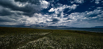 Nature, Flowers, Mountains, Clouds, Field HD wallpaper