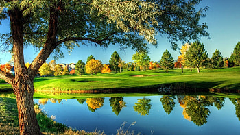 Lake, Go Green HD wallpaper