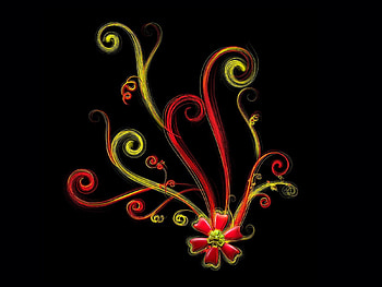 Abstract, Patterns, Flower, Bright, Lines HD wallpaper