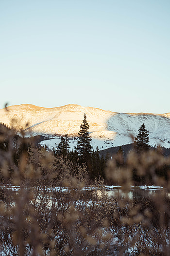 Landscape, Nature, Trees, Mountains, Bush, Hills HD phone wallpaper