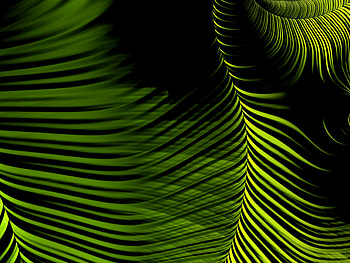Abstract, Lines, Fractal, Sinuous, Winding HD wallpaper