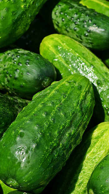 Cucumber, , Michelle, Background HD phone wallpaper