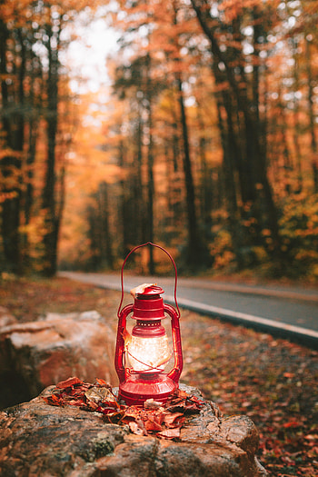 Autumn, Shine, Light, Miscellanea, Miscellaneous, Lamp, Lantern HD phone wallpaper