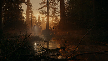 Alan Wake 2 Mystical Forest, video game, Alan Wake 2 HD wallpaper