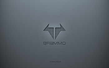 Brammo logo, gray creative background, Brammo emblem, gray paper texture, Brammo, gray background, Brammo 3d logo HD wallpaper