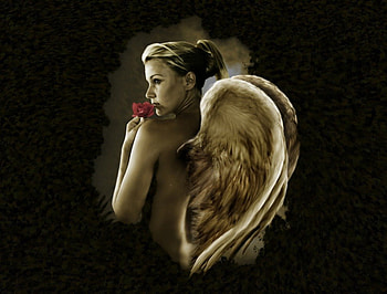 Come cover me, black, Girl, Angel, Fantasy HD wallpaper