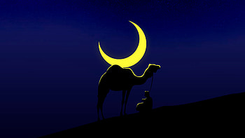 Camel And Master Minimal , camel, minimalism, minimalist, artist, artwork, digital-art HD wallpaper