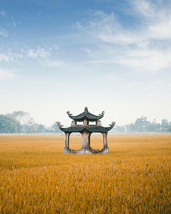 Architecture, Miscellanea, Miscellaneous, Structure, Field, Pagoda HD phone wallpaper