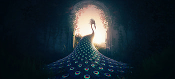 Peacock Journey, peacocks, artist, artwork, digital-art, artstation HD wallpaper