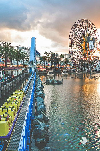 Amusement Park, Disney Springs, Theme park, Magical experience HD phone wallpaper