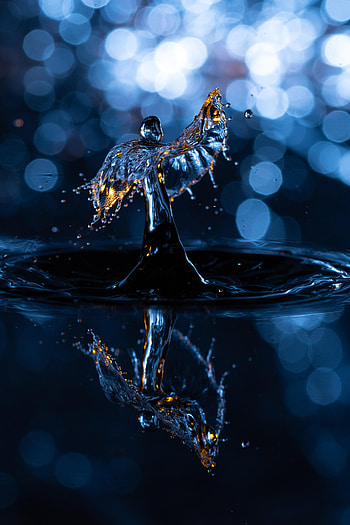 Water, Macro, Splash, Drop HD phone wallpaper
