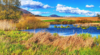 countryside lake r, fields, sky, r, grass, lake, countryside HD wallpaper