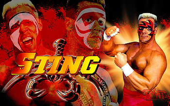 The multi colored face of sting! HD wallpaper