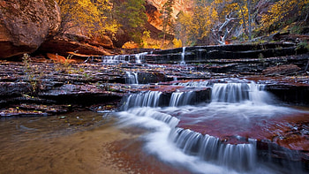 Zion National Park, Small creek, Beautiful scenery, Utah HD wallpaper