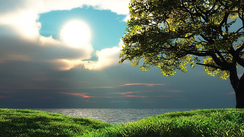 : Mb Size, 1Mb HD wallpaper